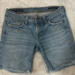 Citizens Of Humanity Light Blue Denim Shorts